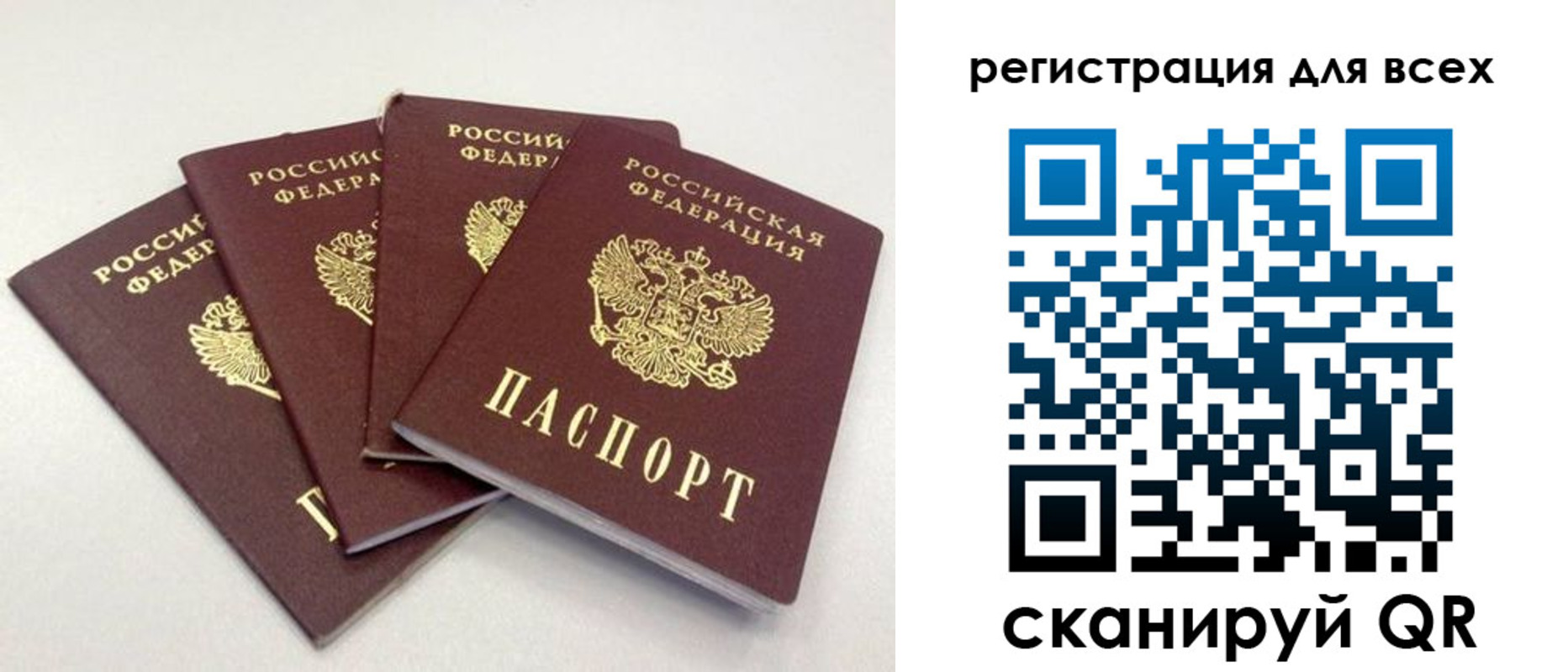 прописка законно в Светлограде